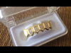 14K Gold Plated 4 Open Face Bottom Teeth Fang Grillz