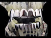 Silver Tone Vampire Fangs Plain Grillz Set