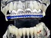 Blue Silver 2 Row Iced Top Teeth Grillz