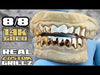 Real Solid 14K Gold Teeth Plain Custom Grillz