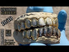 Gold Plated over 925 Silver Two-Tone Diamond-Dust Custom Grillz